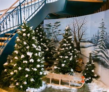 Winterlandschaften