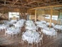 Banketttisch | Tisch rund | bis 10 Personen - Galerie - Bild 2