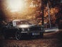 1967er / 1969er Mustang Fastback - Galerie - Bild 4