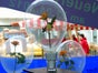Rose im Ballon inkl.19%MwSt. - Galerie - Bild 3