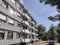 RSS Dachabsturzsicherung mieten - Galerie - Bild 3