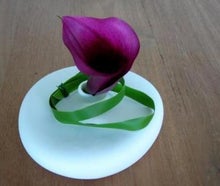 Blüten in Spiegelei-Vase