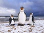 Pinguine- Südpol Diorama, Winterdekorationen, Winter - Galerie - Bild 3