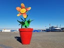 XXXL Blumentopf Arrangement Riesenblume ∗ No.8