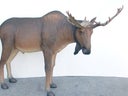 Elch - Figur, Waldtier - Skandinavien, Wald, Natur, Wild