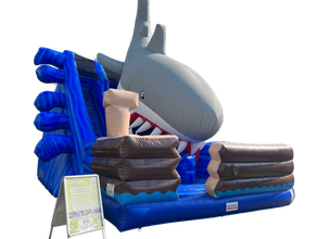 Shark Attack