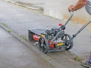 Wildkrautbürste