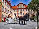 Die wohl schönste aller Hochzeitskutschen - gezogen von edlen, imposanten Friesenpferden - Galerie - Bild 1