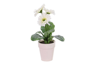 Gerbera-Kunstblumen Weiß 6er Set mieten – Miettisch, Eventtisch, Veranstaltungstisch, Partytisch