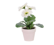 Gerbera-Kunstblumen Weiß 6er Set mieten – Miettisch, Eventtisch, Veranstaltungstisch, Partytisch