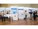 Poster Board | Stellwand | Galerie- und Messewand | Pinwand  Preisbeispiel: 1 lfm. Wand, 250 cm hoch, beidseitig weiß