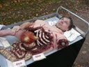 Halloween Animation Fleischerwagen - Galerie - Bild 1