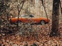 Kopiert - 1970er Dodge Charger - Galerie - Bild 4
