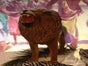 Löwe Figur, Afrika, Afrikanische Figur, Tier Wildtier, Zoo - Galerie - Bild 2