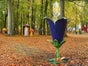 Springblume - Blume mit Springbrunnen - Galerie - Bild 4
