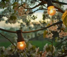 Lichterketten