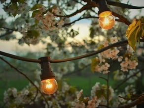 Lichterketten