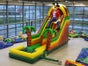 Hüpfburg "Clownrutsche mit Wasserbeckenr" - Galerie - Bild 2