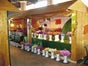 Verkaufshütte, Doppelbude z.B. für den Weihnachtsmarkt, Marktstand, Bude, Weihnachtsmarktbude, Verkaufsstand,Teststation, Testbude, Corona - Galerie - Bild 3