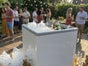 Profi Tiefkühltruhe mieten – Eistruhe mit 97 Liter Volumen (Gastro-Einsatz) - Galerie - Bild 2