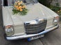 Oldtimer Mercedes 200 - mit Winterreifen - Galerie - Bild 2