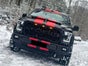 Ford F150 Pick Up mieten 4x4 Raptor Style V8 SUV kein Dodge Ram - Galerie - Bild 2