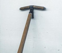 Stachelwalze