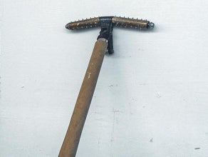 Stachelwalze