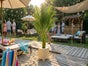 Hanfpalme mit Holz-Topf, Wetterfest. ARECA Palme mieten – Tropische Goldfruchtpalme für Event, Messe & Beach-Party - Galerie - Bild 4
