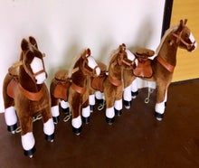 Pony Reiten für Kinder