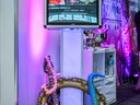 Fotobox / Photobooth Digital / Sofort-Ausdruck - Galerie - Bild 1