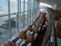 Skyline Restaurant - Galerie - Bild 2