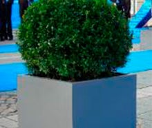 Buchskugel S mit Kubus grau