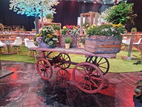Handwagen - Wagen - Handkarre