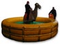 Kamelrodeo - Bullriding Variante inkl. 19% MwSt. - Galerie - Bild 4