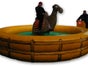 Kamelrodeo - Bullriding Variante inkl. 19% MwSt. - Galerie - Bild 4