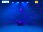 Lichtest / LED Lichtanlage / Licht Komplettsystem / Partybeleuchtung / Tanzlicht - Galerie - Bild 3