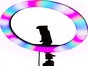Videospinner 360° – Interaktive Fotobox für Ihr Event - Galerie - Bild 3