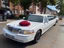 Stretchlimousine Hummer H2,Partybus mieten Köln,Lincoln in Weiß oder in Pink ,Stretchlimousine mieten Köln,Bonn,Düsseldorf,Troisdorf,Siegburg,Mönchengladbach,Düren,Krefeld,Dortmund, Koblenz, Aachen. Wir fahren überall !!!!!!!!! - Galerie - Bild 1