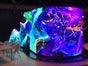 CURVE LED Wand Videowand Blackscreen Full HD P2 Mapping - eventar - Galerie - Bild 2