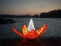 Seerose - Lichtdekoration - schwimmende Blume - Galerie - Bild 2