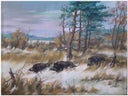 Wildschwein Kulisse, Wildsau, Wildtier, Wald, Keiler