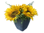 Sonnenblumen 6er Set - Galerie - Bild 2