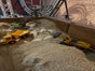 Mobile Bagger Bar 🚧 🎮 - Galerie - Bild 2