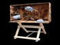 Spielstand Seppelhutwerfen - Galerie - Bild 2