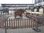 Kindereisenbahn Jim Knopf - Galerie - Bild 4