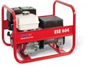 Stromerzeuger Endress ESE 604 HS