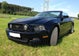 Ford Mustang GT V8 5.0L Cabrio ... 426 PS...RIDE THE PONY!