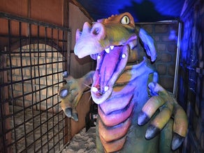 Drache - XXL - Mittelalter Drachen