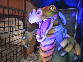 Drache - XXL - Mittelalter Drachen